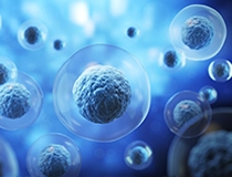 The Role of Regenerative Medicine in Labral and Cartilage Healing