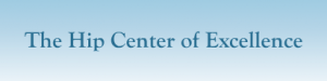 The Hip Center of Excellence